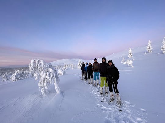 Snowshoeing tour in Pallas fells national park from Levi