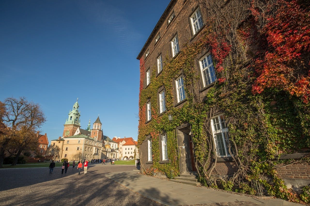 Begeleide Wawel-tour met lunch en cruise op de rivier de Vistula