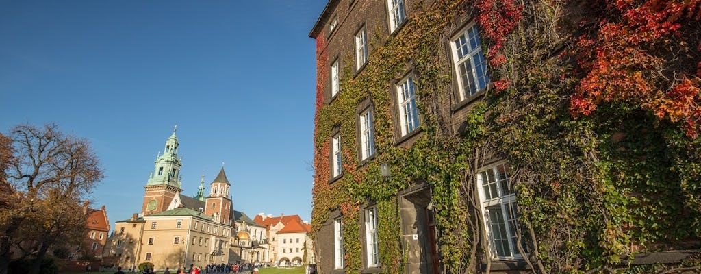 Guided Wawel tour with lunch and Vistula River cruise