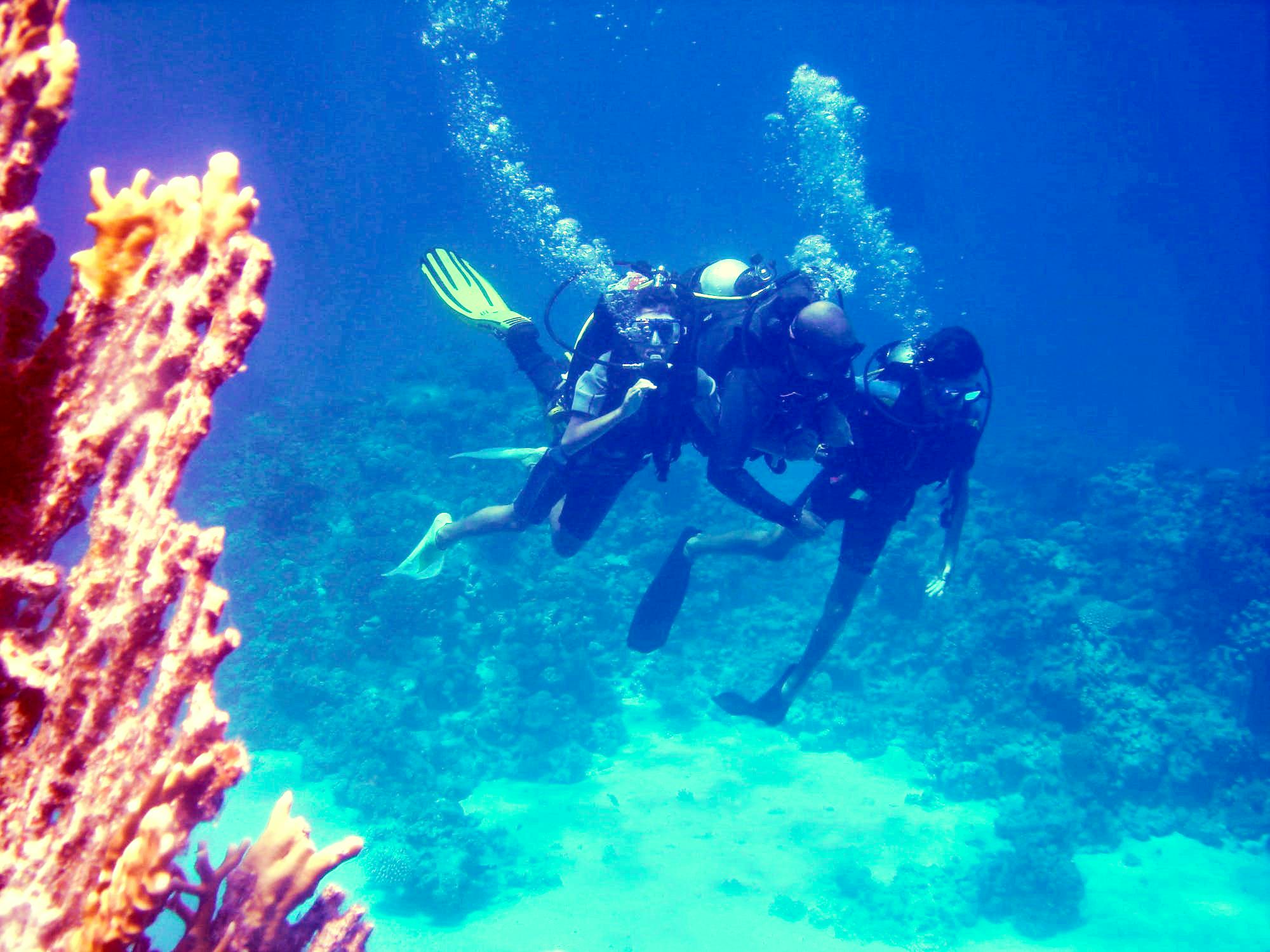 Diving experiences and packages from Dahab Musement