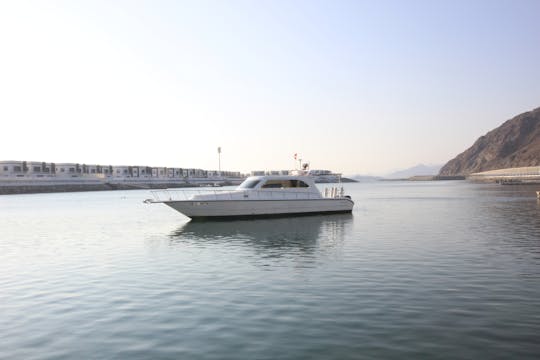 Full day snorkeling guided experience with BBQ lunch in Fujairah
