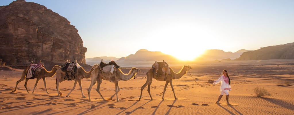 Ganztägige private Tour zum Wadi Rum von Amman