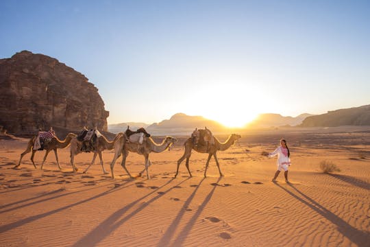 Całodniowa prywatna wycieczka do Wadi Rum z Ammanu