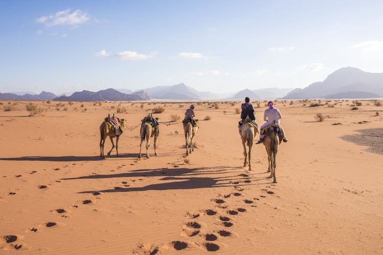 Full-day private tour to Wadi Rum from Amman