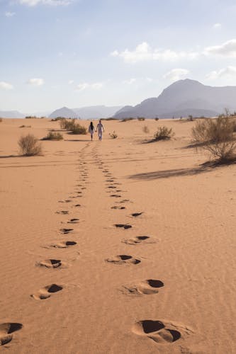 Full-day private tour to Wadi Rum from Amman