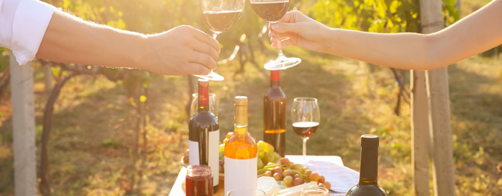 Wine tasting & picnic at the Maison de Graves
