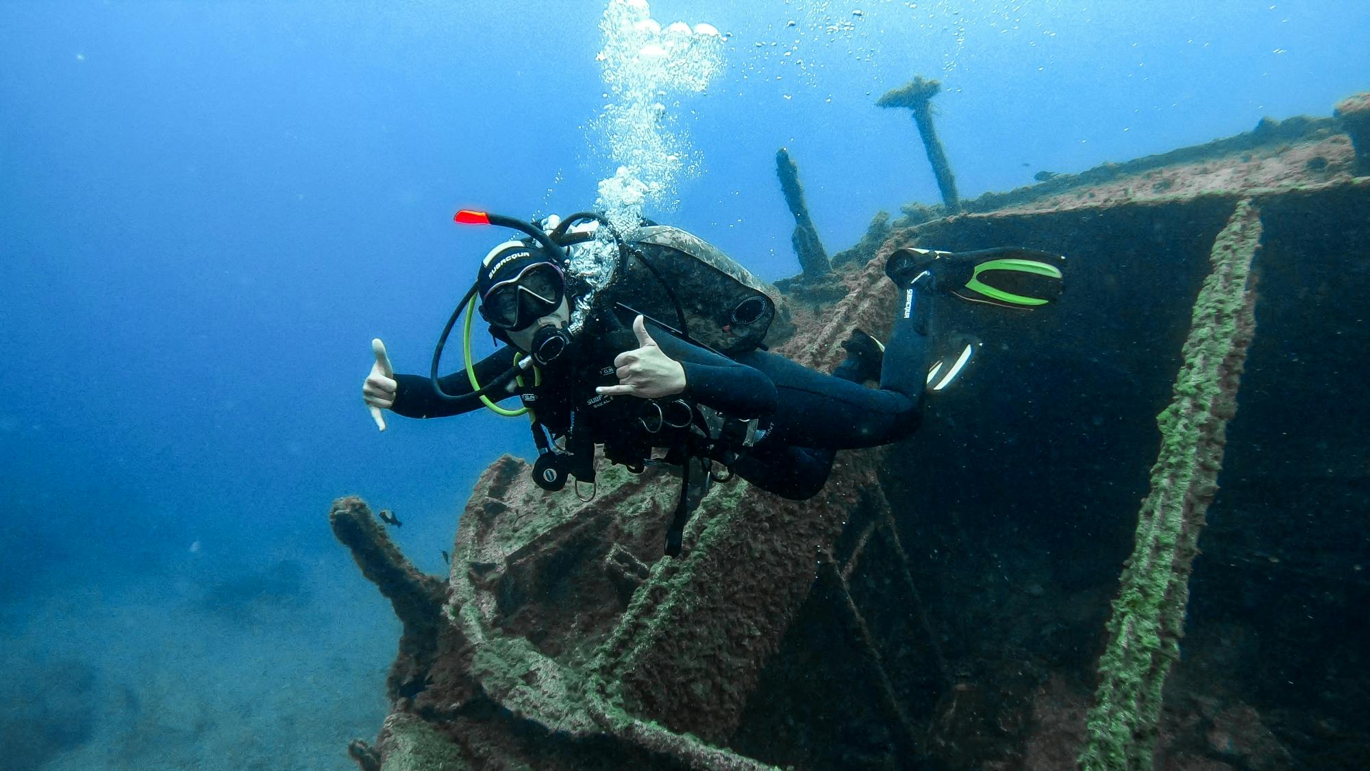1 dive for certified divers in Tenerife Musement