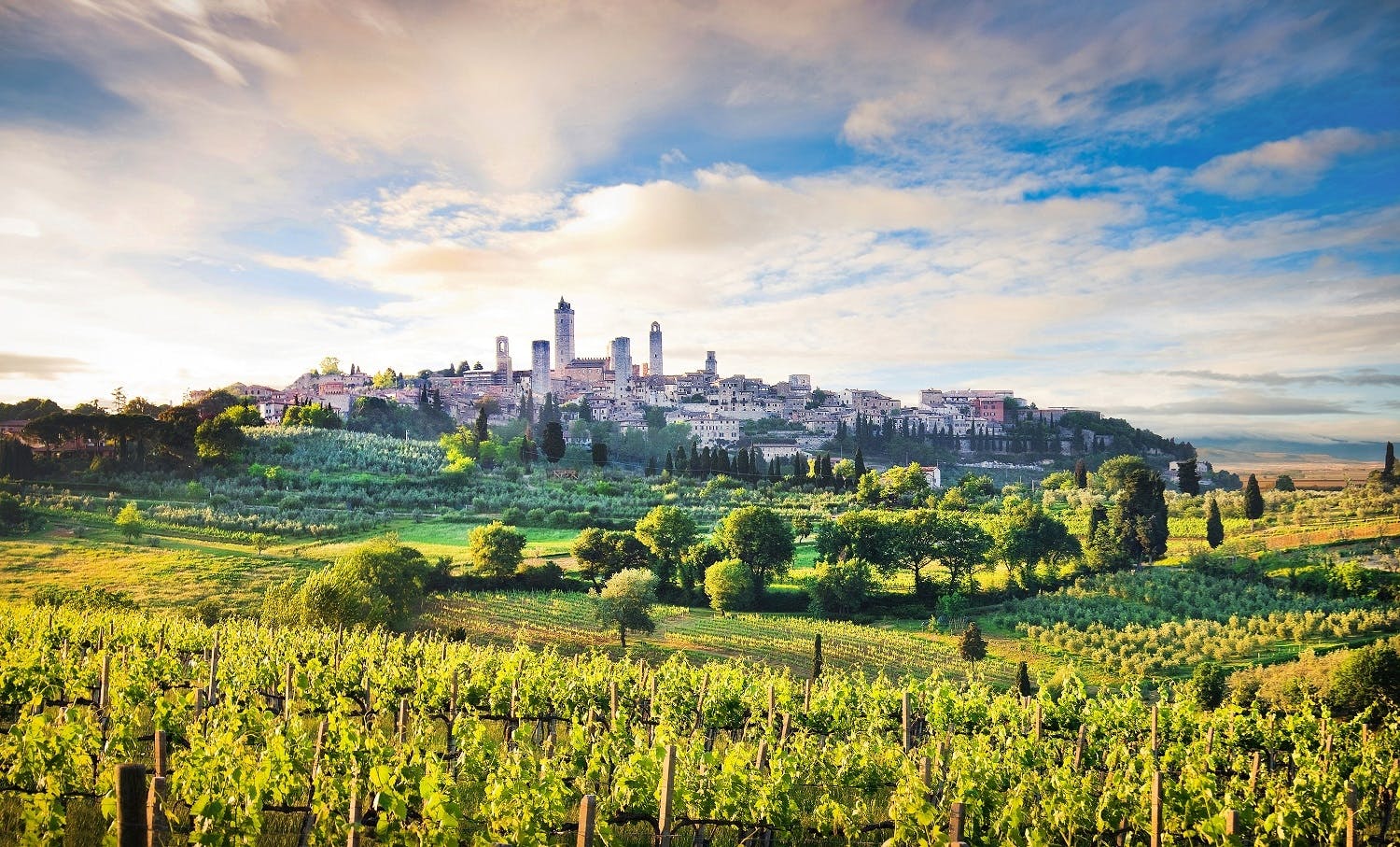 Recorrido por las joyas de la Toscana con comida y cata de vinos