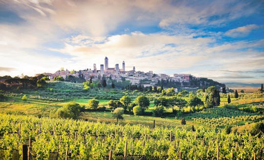 Jewels of Tuscany tour with lunch and wine tasting