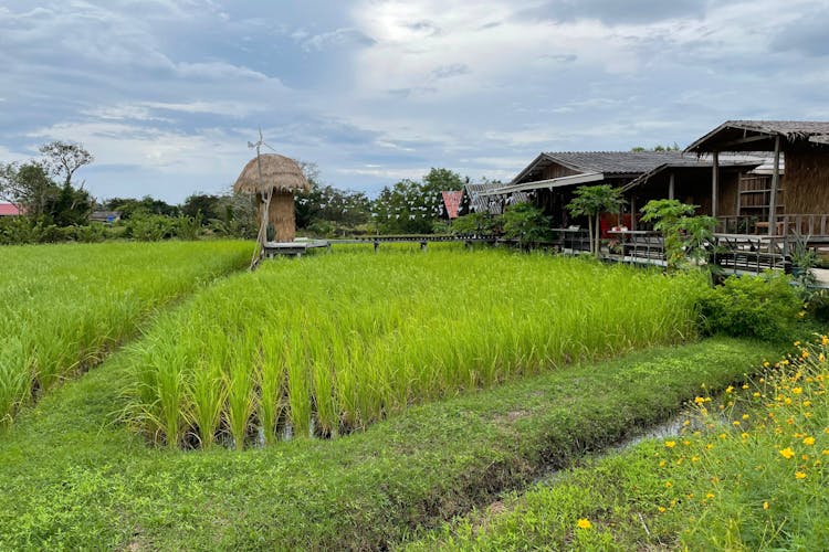 Ko Lanta Island Tour with Longtail Boat Cruise