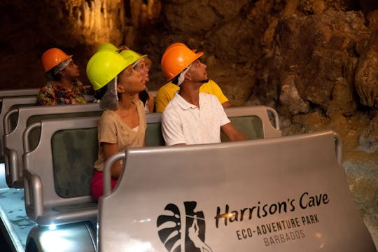 Excursión en tranvía por la cueva de Harrison y caminata guiada por la naturaleza
