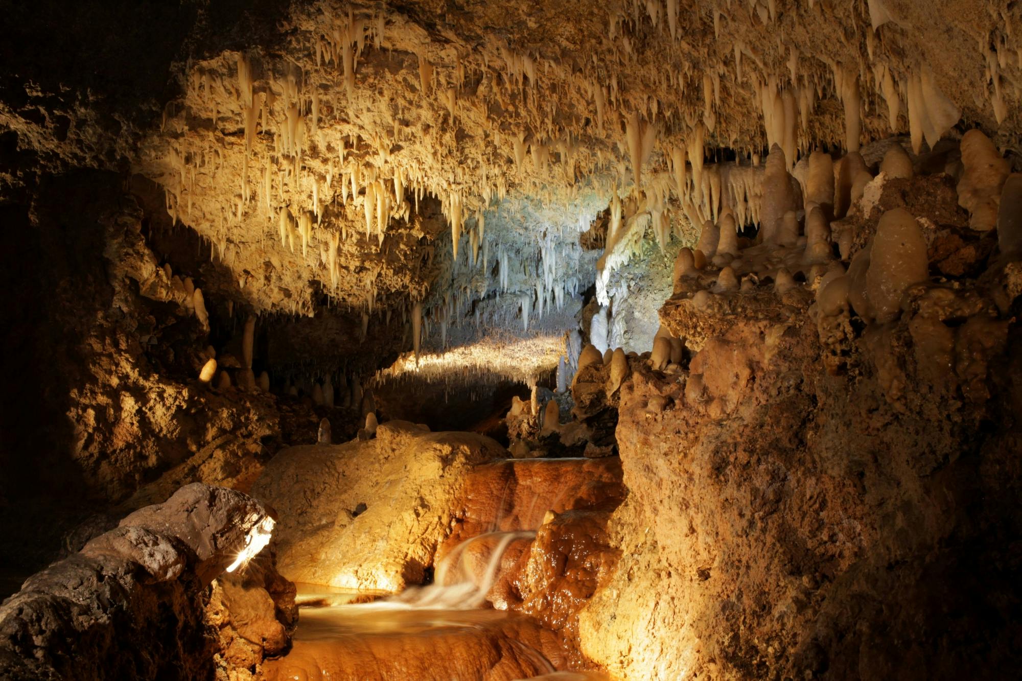 Harrison's Cave Signature Tram Tour & Guided Nature Hike