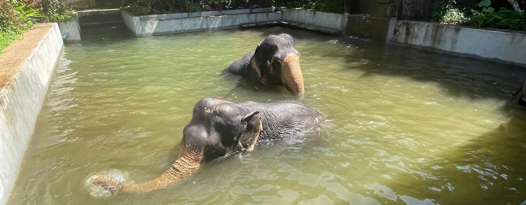 Halbtagestour zum Elefantenschutzgebiet ab Khao Lak