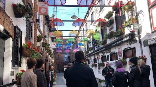 Visite à pied du meilleur de Belfast avec un guide local