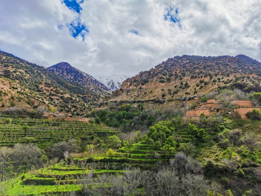 Atlas mountains and Agafay desert day trip from Marrakesh