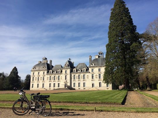 Tour in bicicletta della Valle della Loira con visita del castello di Cheverny e degustazione di vini
