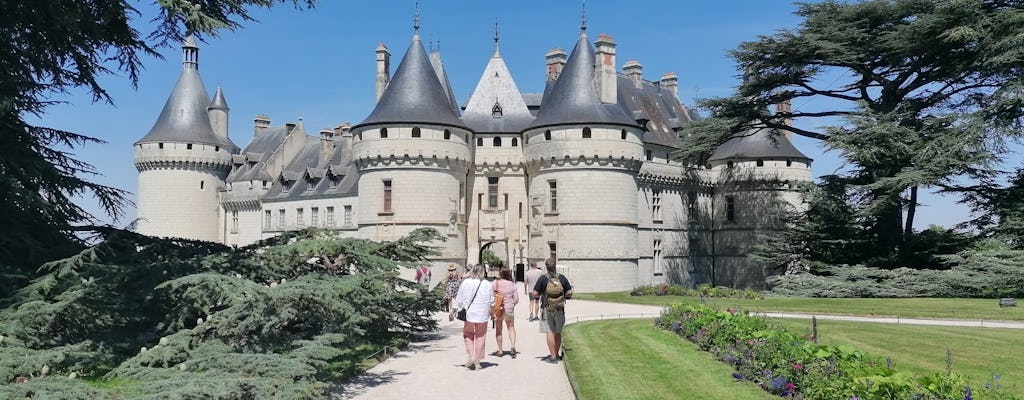 Tour in bicicletta della Valle della Loira con visita al castello di Chaumont-sur-Loire
