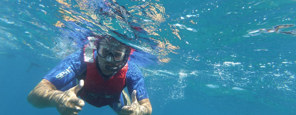 Snorkeling tour in the Bay of Stingrays