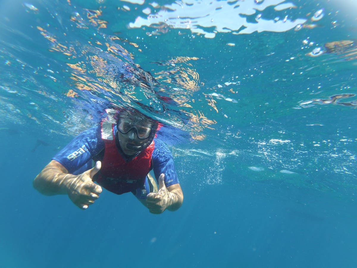 Tour di snorkeling nella Baia delle razze