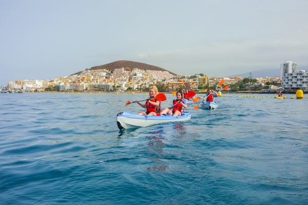 Esperienza in kayak di 2 ore a Tenerife