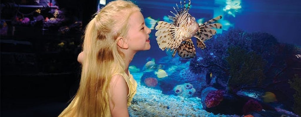 Billets Hopper pour LEGOLAND® California et l'aquarium SEA LIFE®