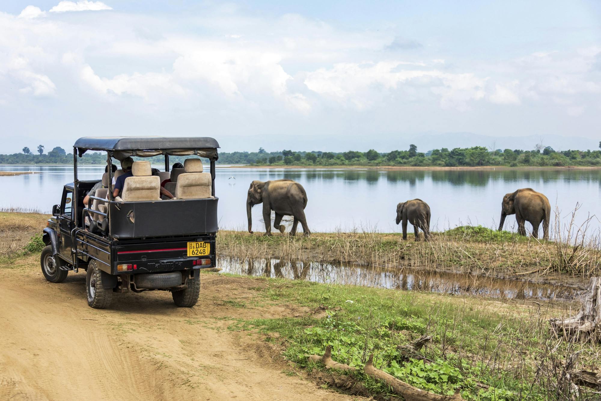 Udawalawa National Park full day safari from Colombo Musement