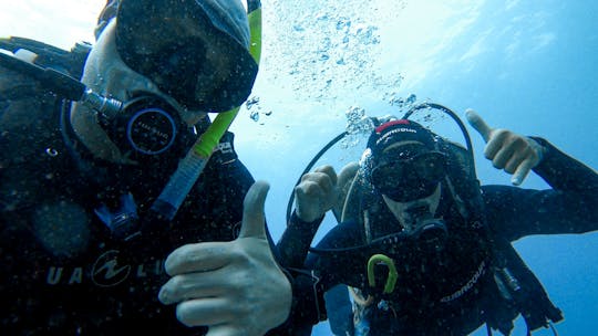 Cours PADI Scuba Diver pour débutants à Tenerife