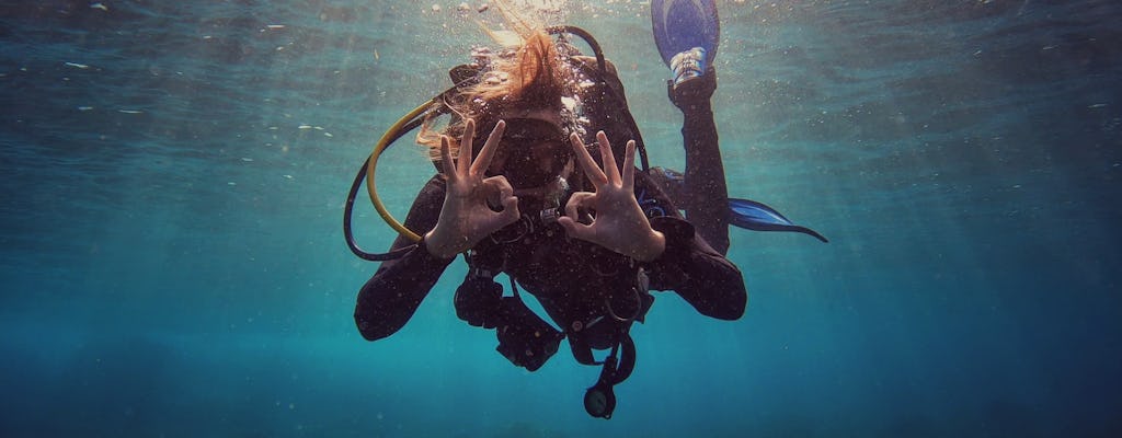 Package 2 dives or 4 dives for certified divers