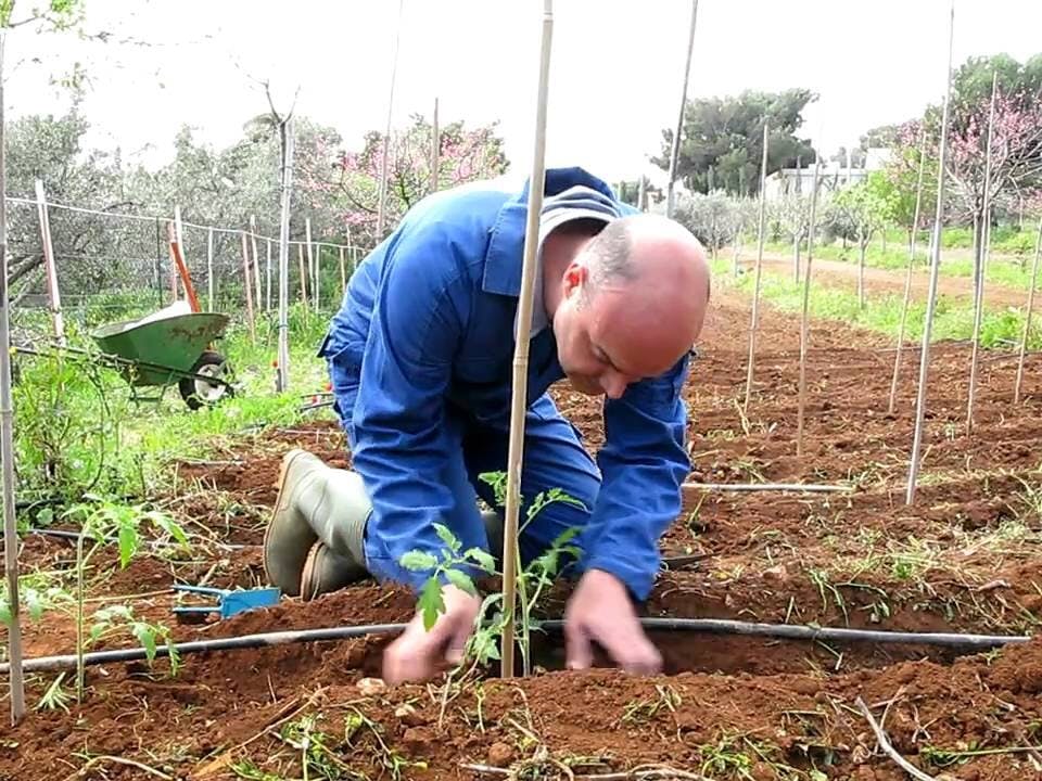 Passeio pelas Vilas Cretenses com Aula de Culinária