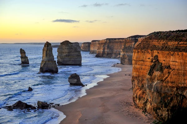 Great Ocean road private car tour with pick up and a forest walk