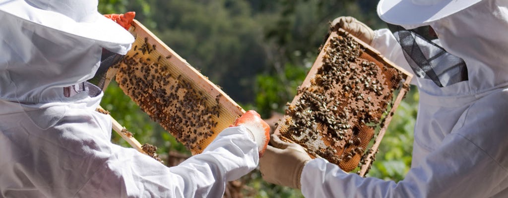 Bienenfarmtour mit Honigverkostung aus Nafplion