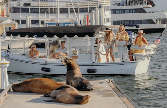 Electric boat sunset cruise with wine and charcuterie board