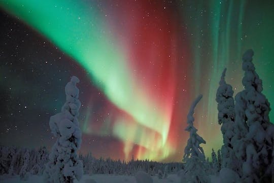 Caza de la aurora boreal con refrigerios en una fogata de Levi