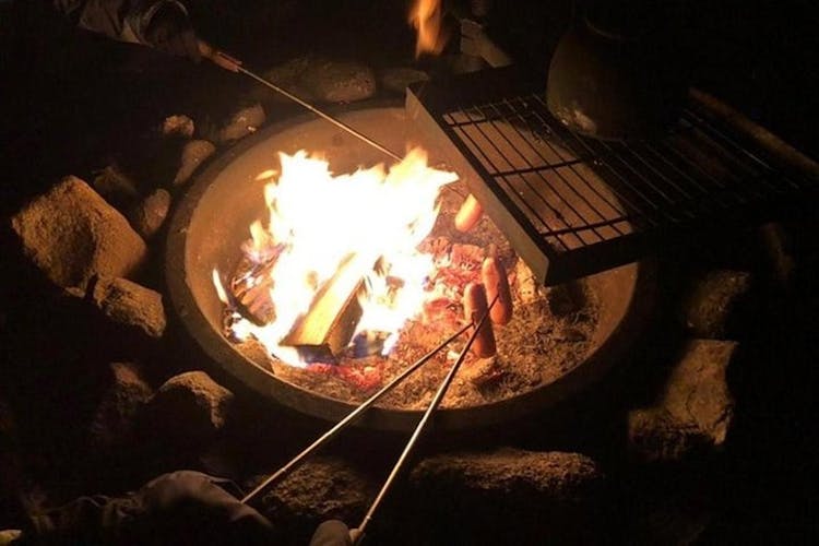 Northern Lights Hunt Including Snacks on Campfire from Levi