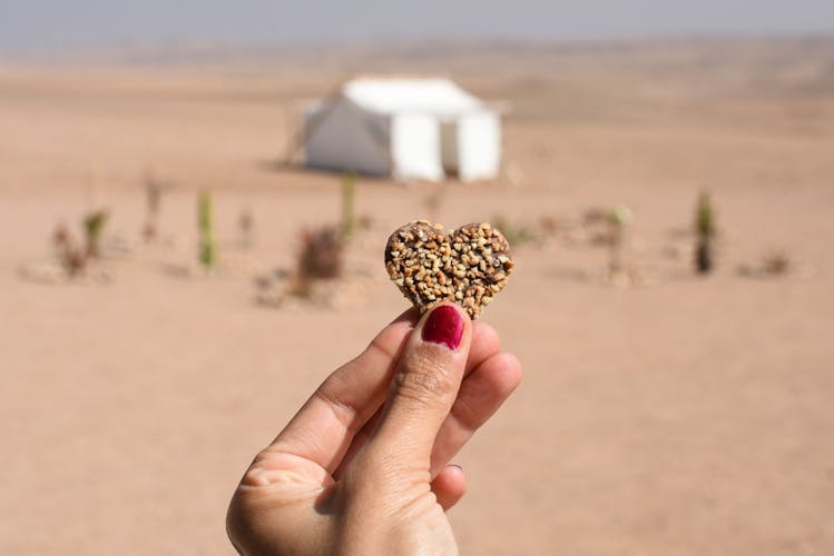 Agafay desert camel ride and dinner in a luxury camp