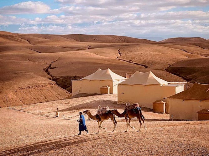 Agafay desert camel ride and dinner in a luxury camp