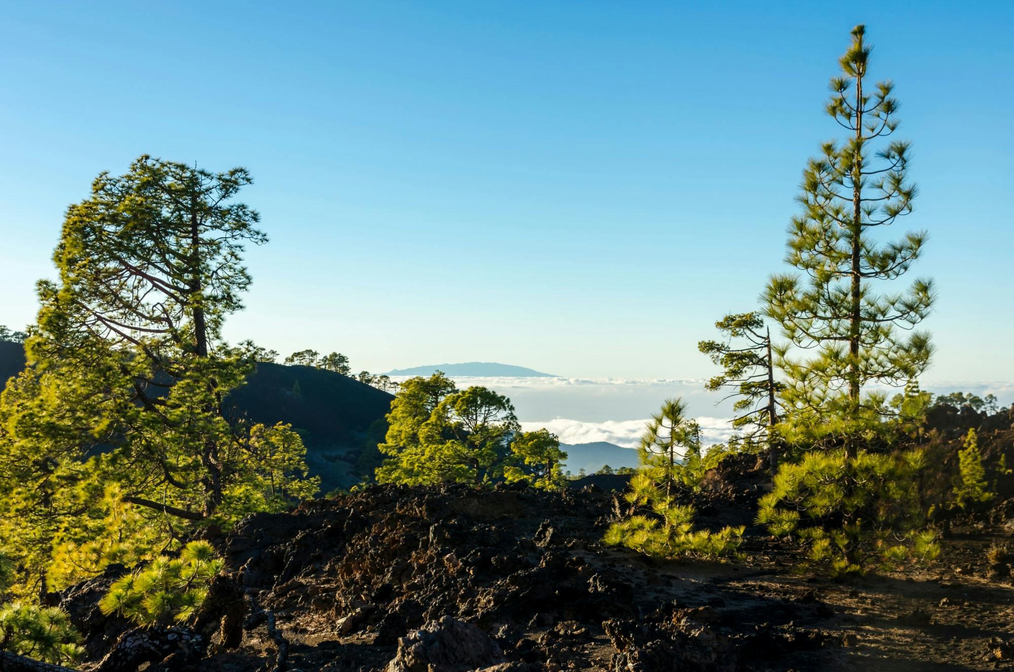 Teide National Park Hiking Tour