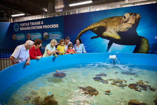 fareharbor-cairnsaquarium|348918-804111