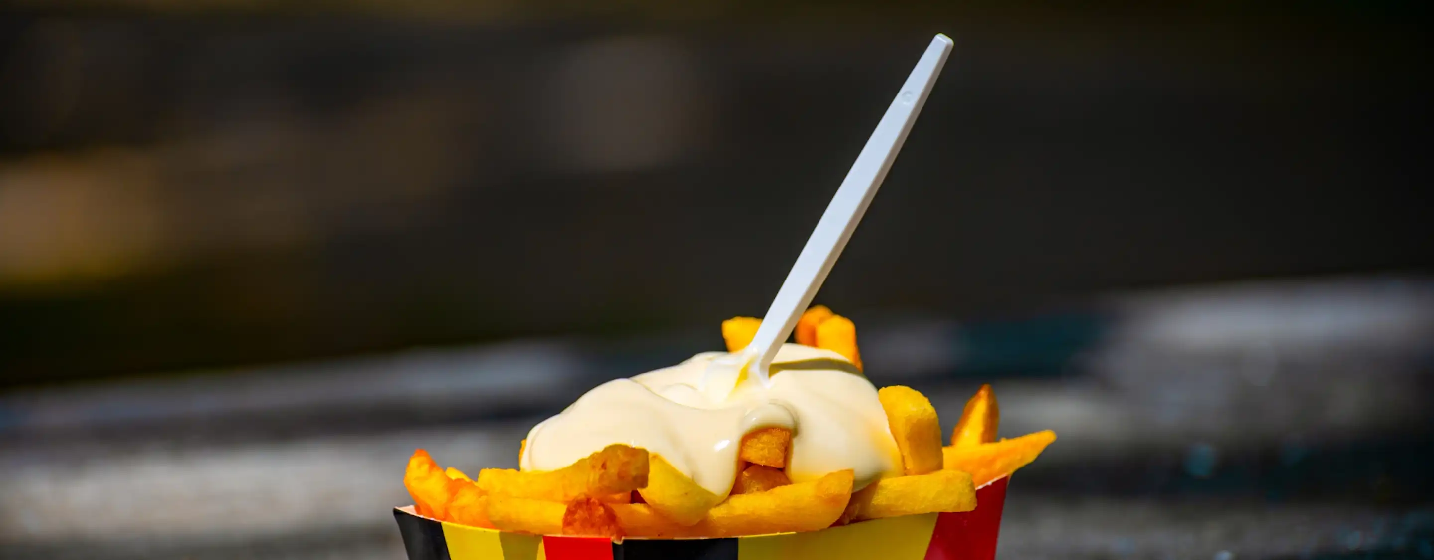 The Frietmuseum (Belgian Fries Museum)