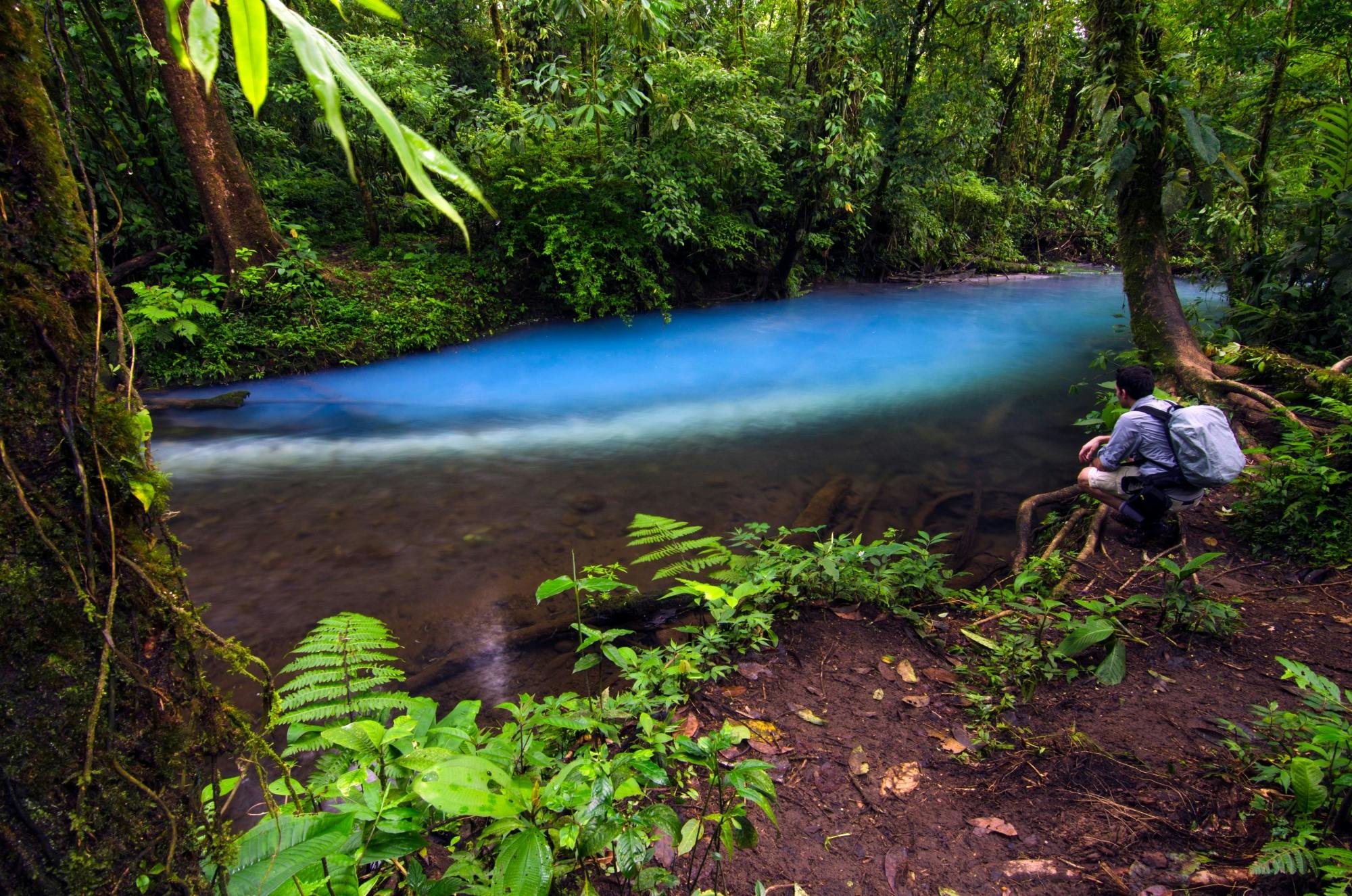 Hiking Tour in Tenorio Volcano National Park