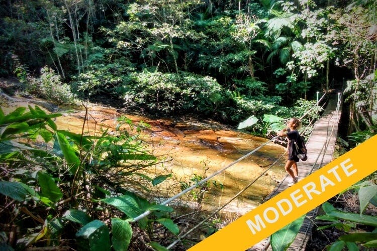 Private geführte mittelschwere Wanderung voller Abenteuer und Geschichte im Tijuca-Wald