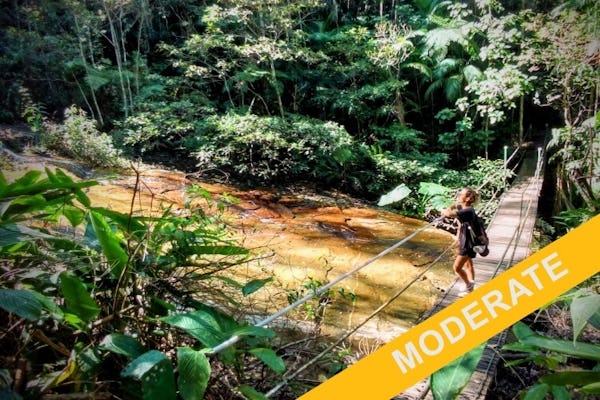 Caminata moderada guiada privada de aventura e historia en el bosque de Tijuca
