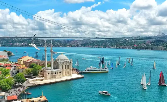 Cruise, Bus Tour and Cable Car to Golden Horn and Pierre Loti Hill