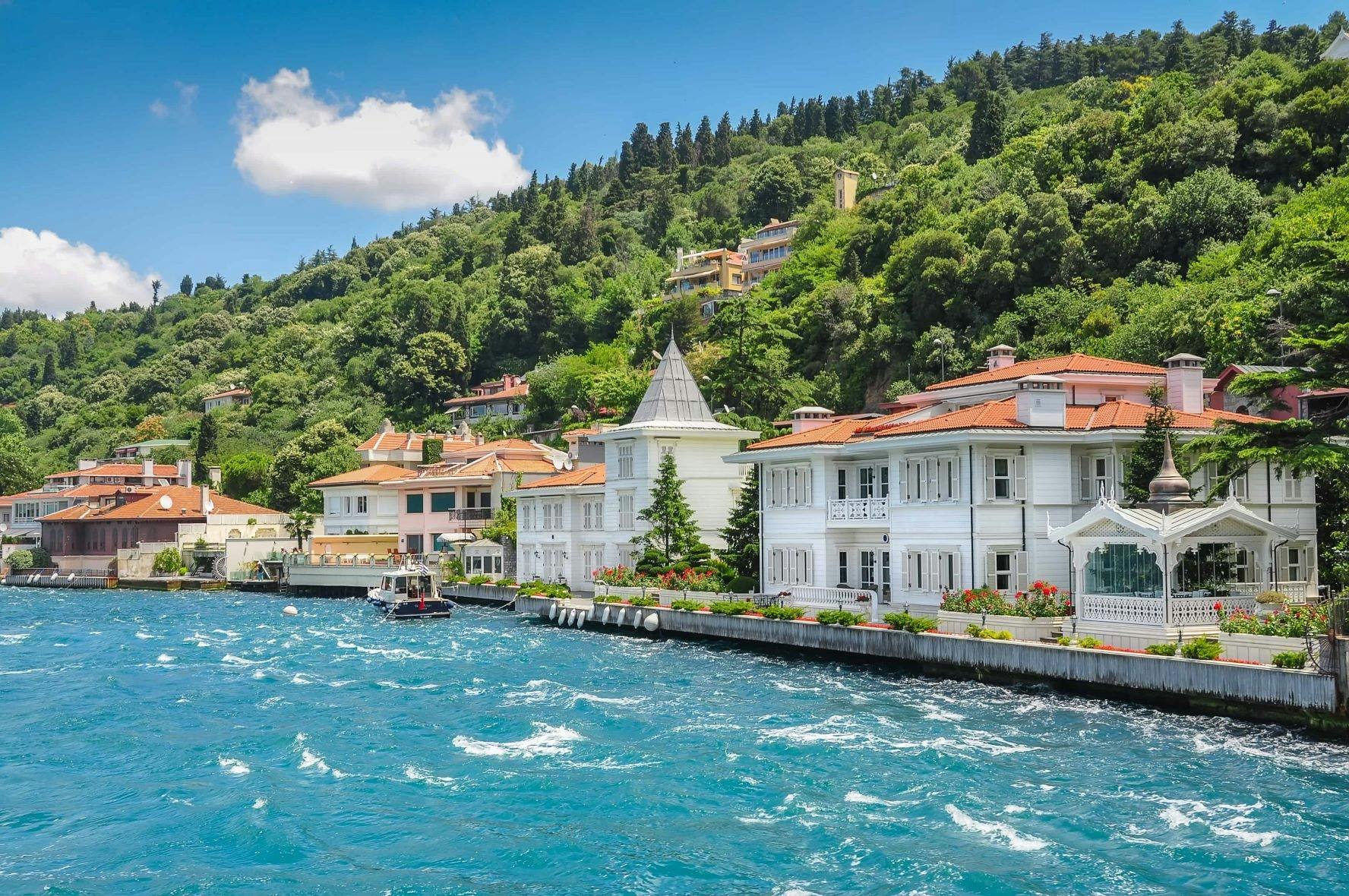 Geführte Bootstour zu den Prinzeninseln mit Mittagessen ab Istanbul