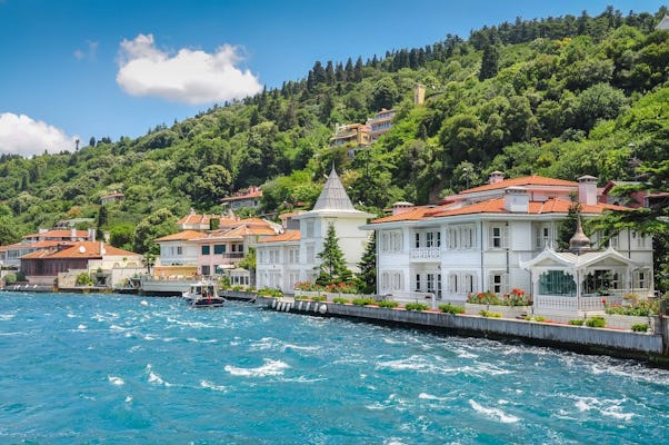 Visite guidée en bateau des îles des Princes avec déjeuner au départ d'Istanbul