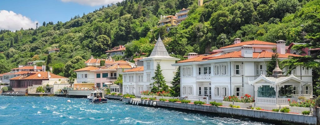 Passeio de barco guiado pelas Ilhas dos Príncipes com almoço saindo de Istambul