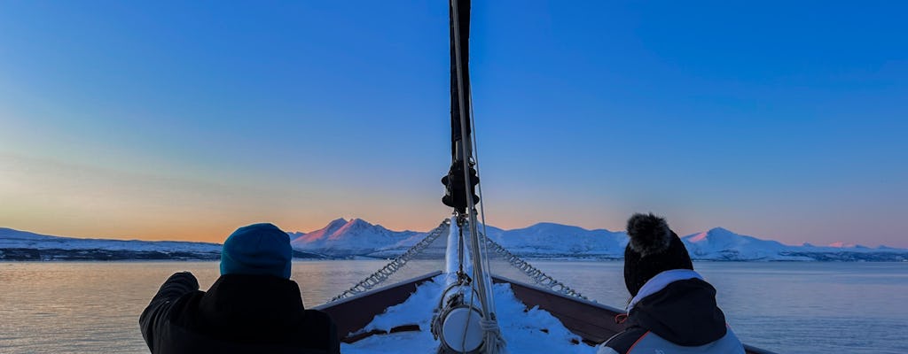 Cruzeiro de luxo no fiorde polar em Tromso