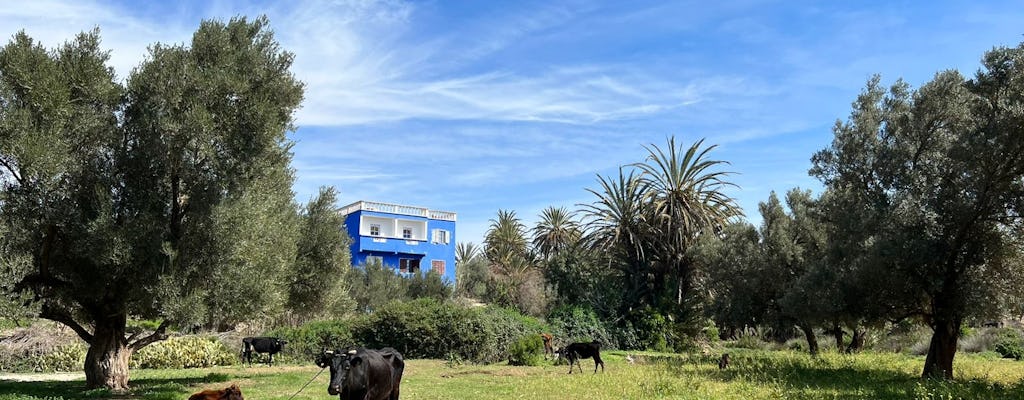 Half day trip to Essaouira oasis
