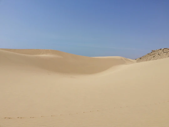 Sahara sand dunes and paradise valley full-day tour from Agadir