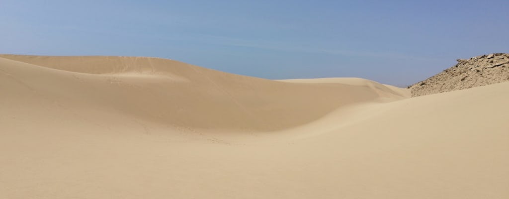 Sahara-zandduinen en paradijselijke vallei-dagtour vanuit Agadir
